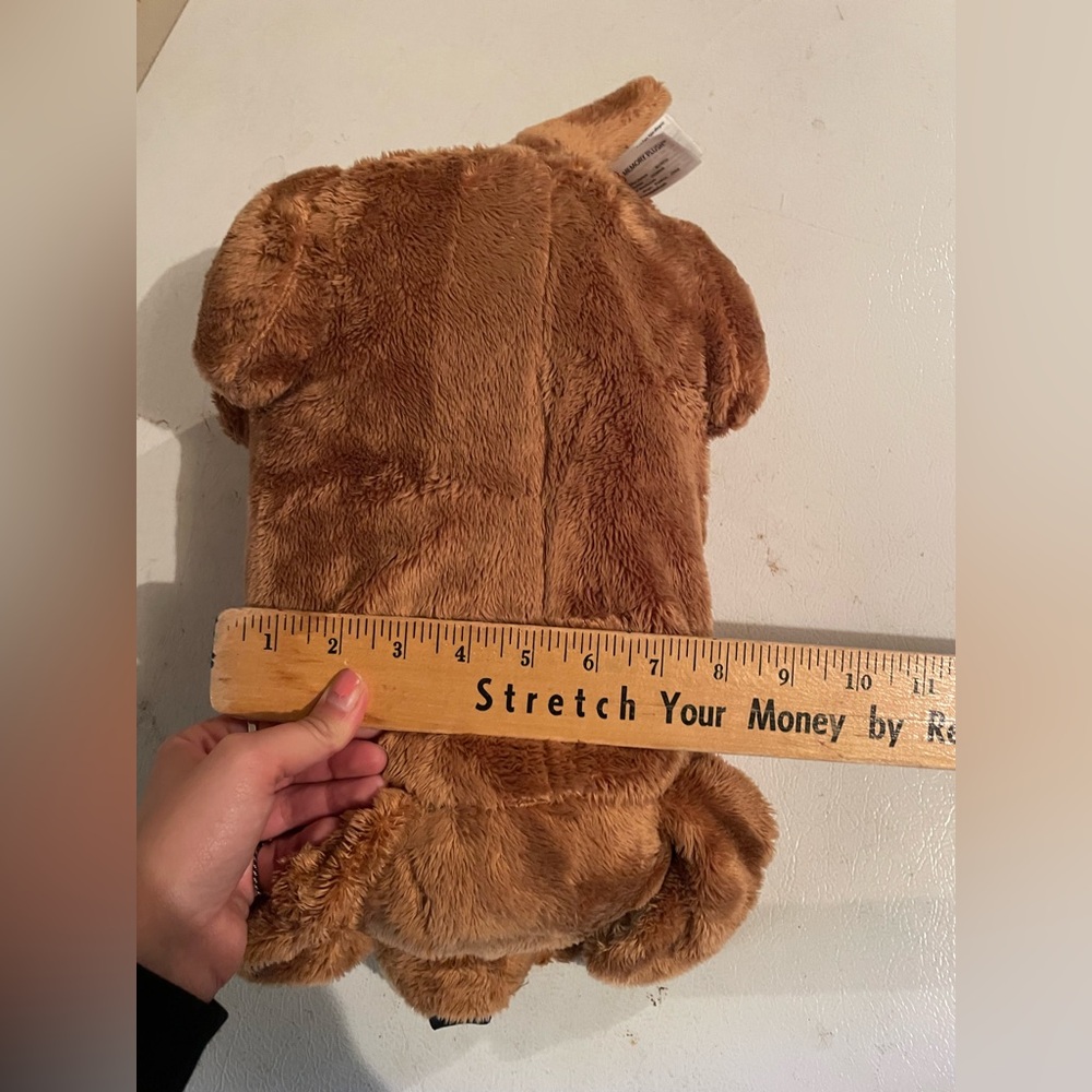 Memory plush wiener dog dachshund pillow “Frank” - Picture 6 of 8